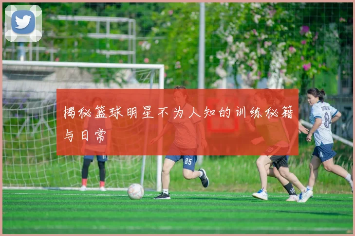 揭秘篮球明星不为人知的训练秘籍与日常