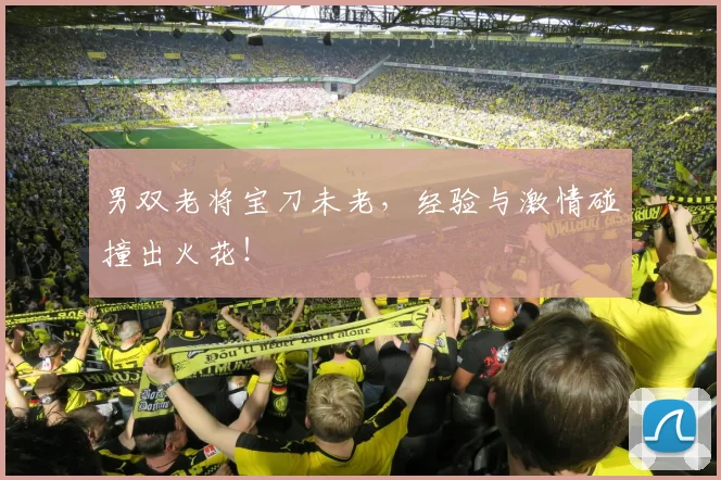 男双老将宝刀未老，经验与激情碰撞出火花！